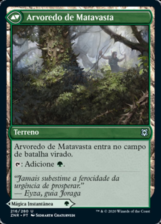 Fortificação de Matavasta / Vastwood Fortification - Magic: The Gathering - MoxLand