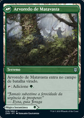 Fortificação de Matavasta / Vastwood Fortification - Magic: The Gathering - MoxLand