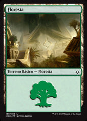 Floresta / Forest - Magic: The Gathering - MoxLand