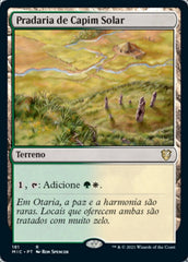 Pradaria de Capim Solar / Sungrass Prairie - Magic: The Gathering - MoxLand