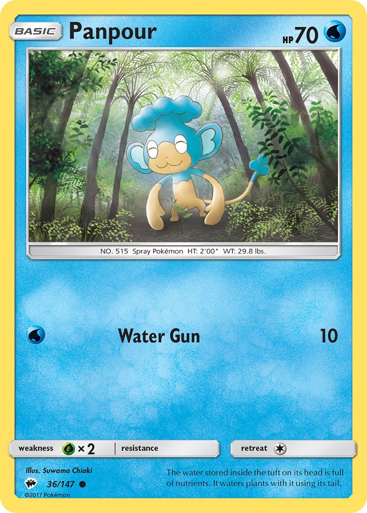 Panpour - Pokémon TCG - MoxLand