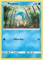 Panpour - Pokémon TCG - MoxLand