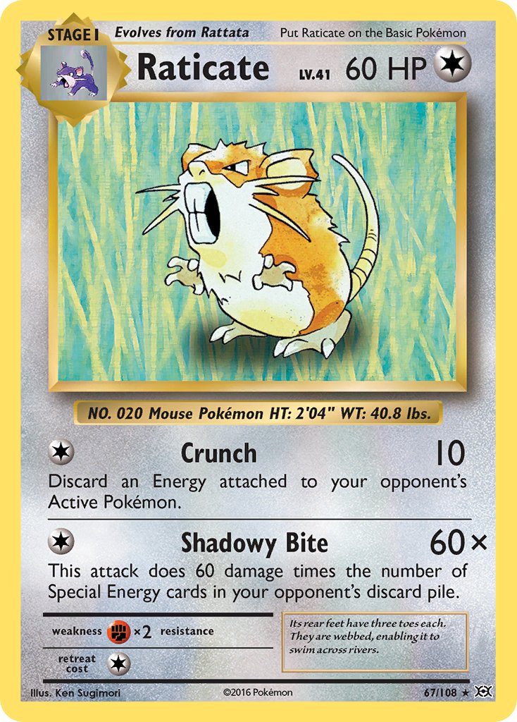 Raticate - Pokémon TCG - MoxLand