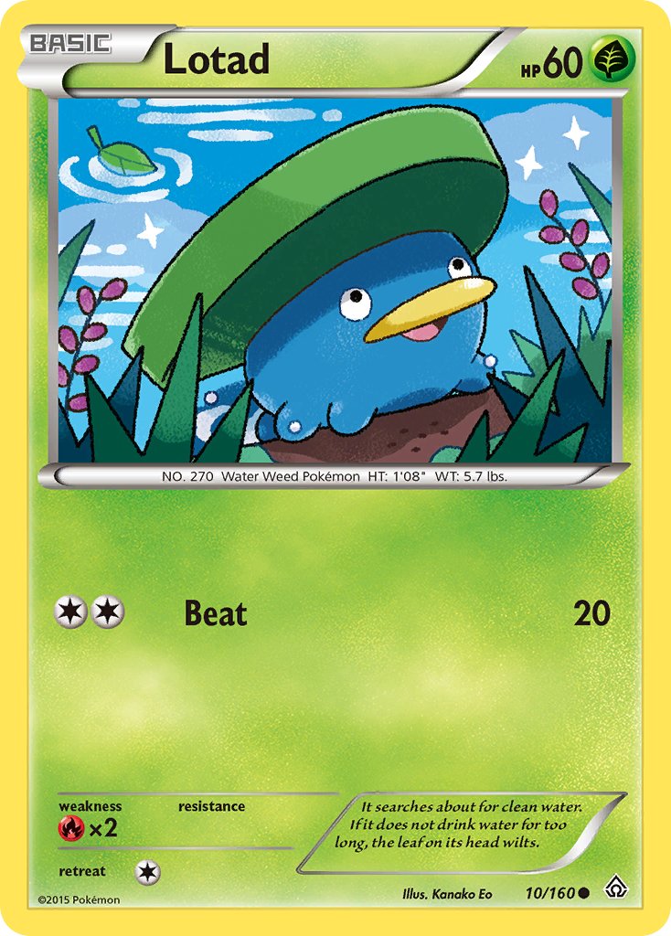 Lotad - Pokémon TCG - MoxLand