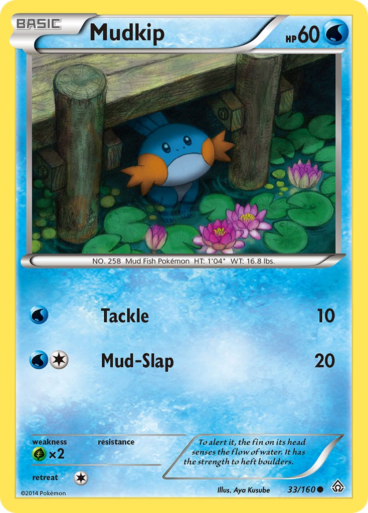 Mudkip - Pokémon TCG - MoxLand