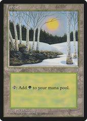 Floresta / Forest - Magic: The Gathering - MoxLand