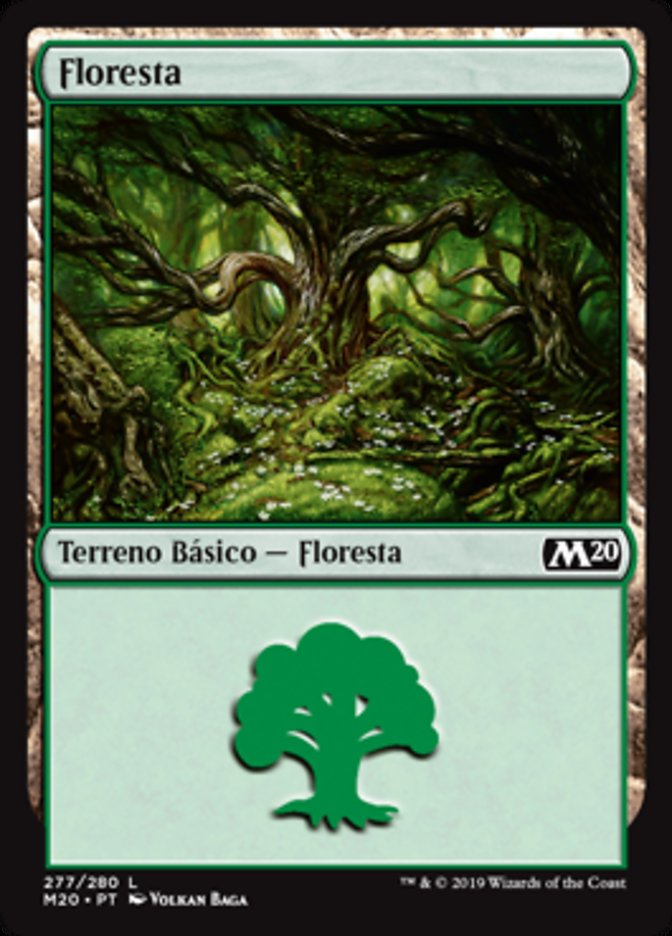 Floresta / Forest - Magic: The Gathering - MoxLand