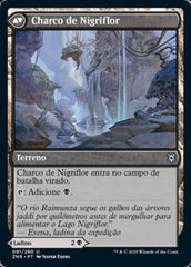Ladina de Nigriflor / Blackbloom Rogue - Magic: The Gathering - MoxLand