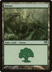 Floresta / Forest - Magic: The Gathering - MoxLand